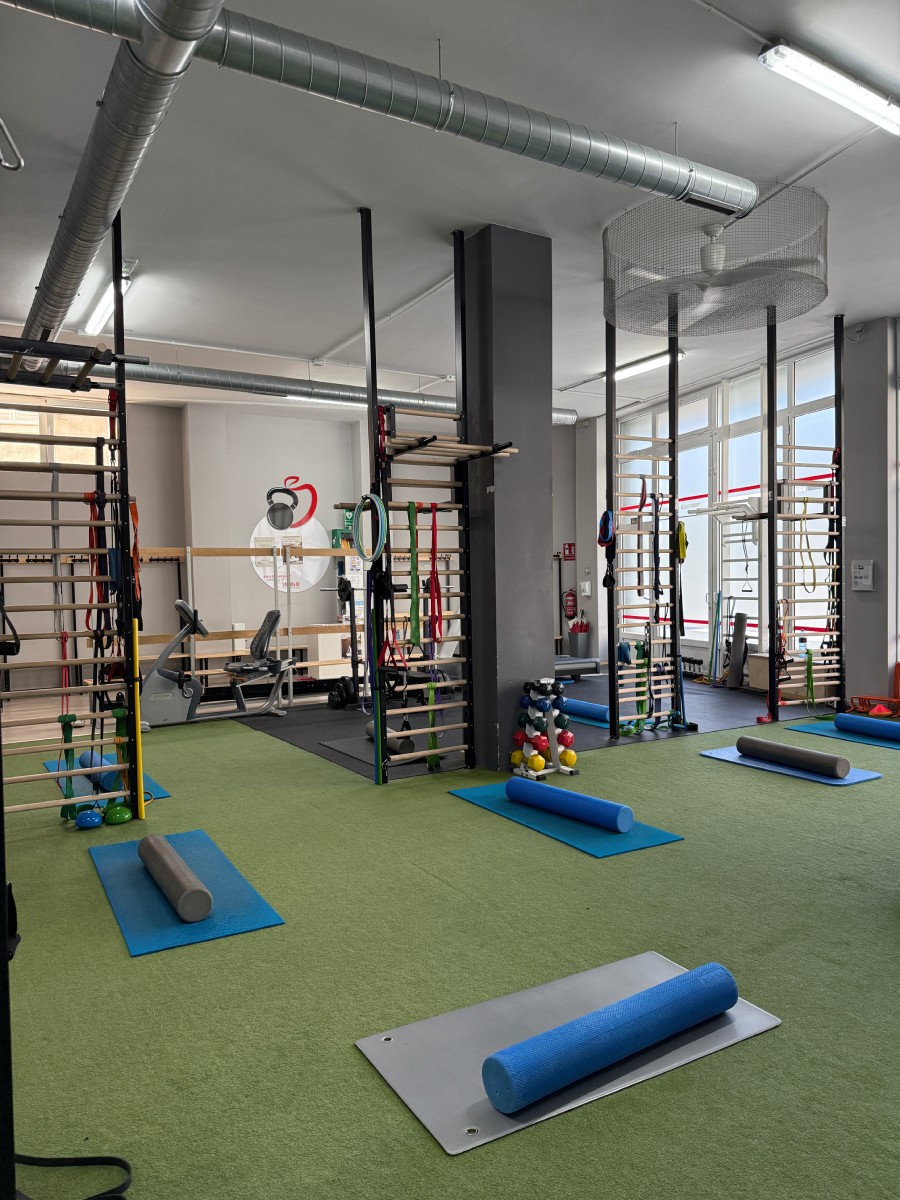 Gimnasio con colchonetas, rodillos de espuma y estructuras de entrenamiento - Saludx10