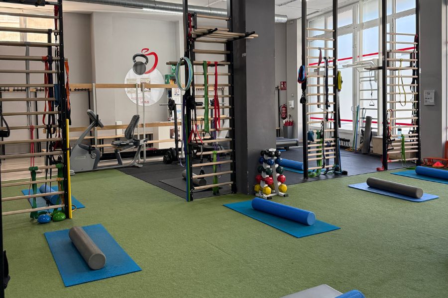 Gimnasio con espalderas, colchonetas y rodillos para entrenamiento personalizado - Saludx10